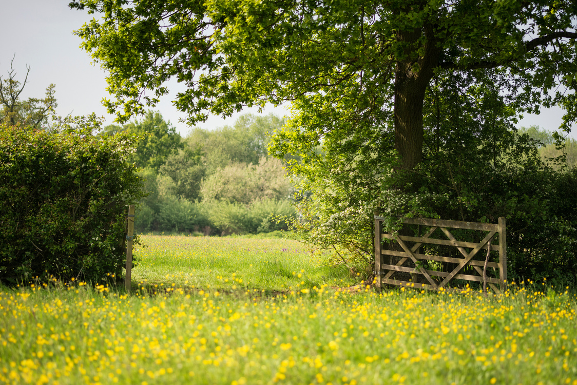 English Countryside Landscape